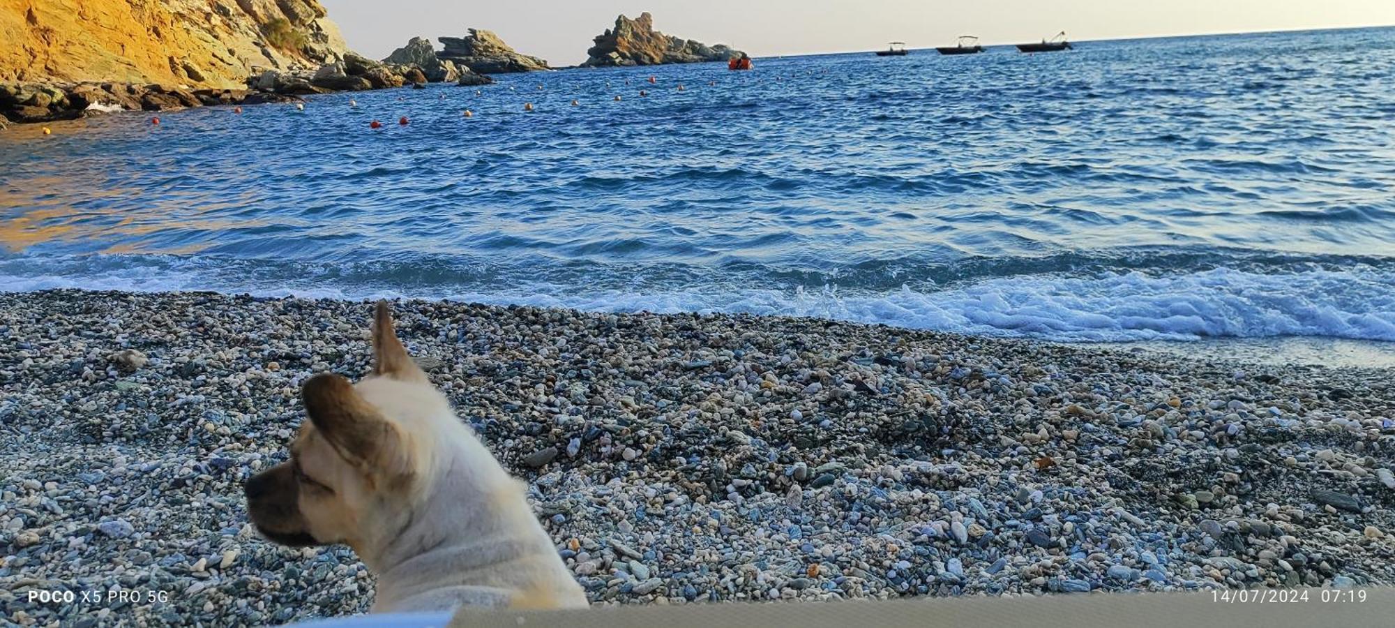 Mades Magic Place Agia Pelagia Dış mekan fotoğraf